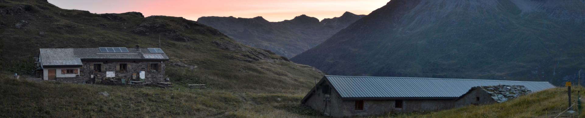 crépuscule à la martin