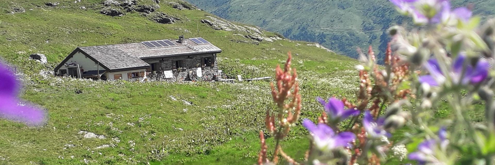 Photo du refuge et paysage fleuri