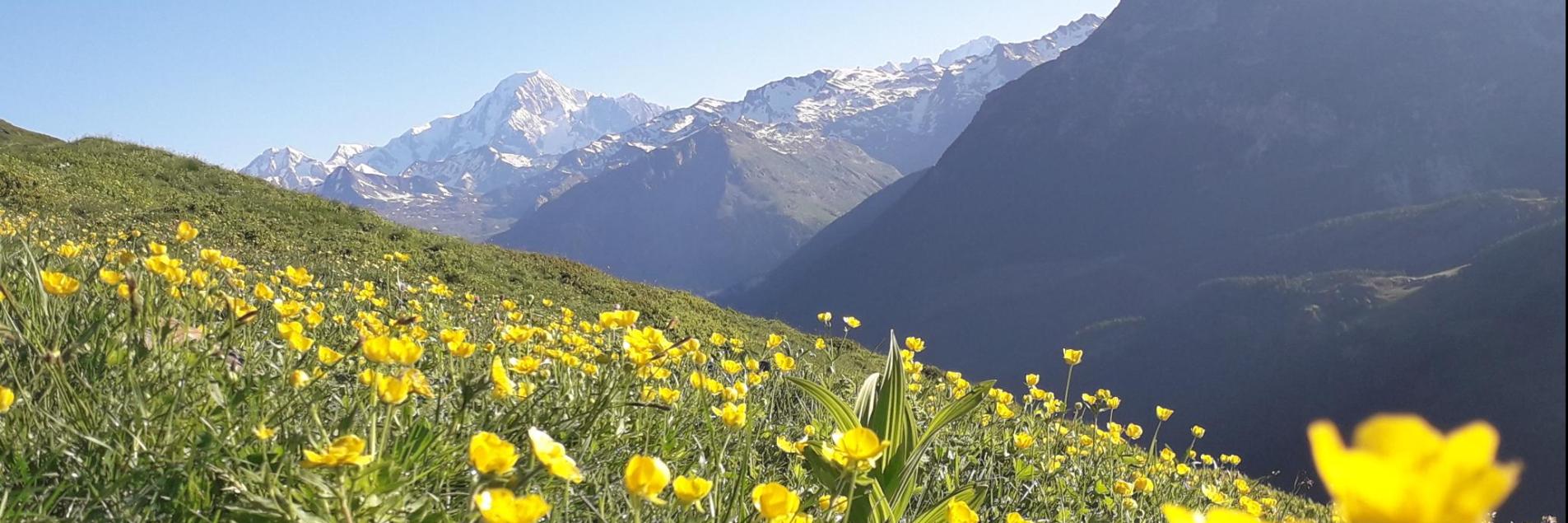 vue sur le mont blanc